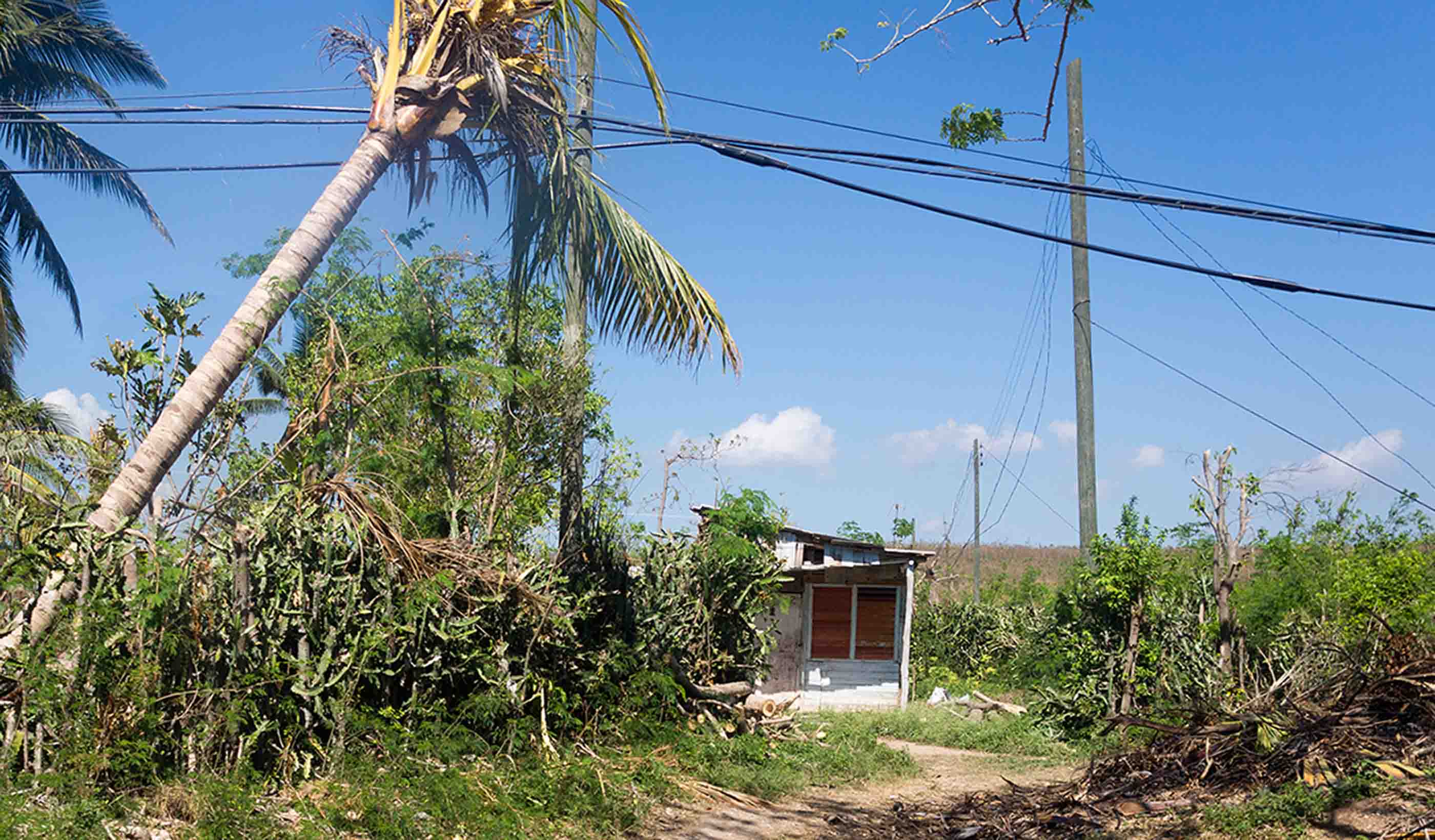 Can Caribbean islands modernize their way to affordable, resilient energy grids?
