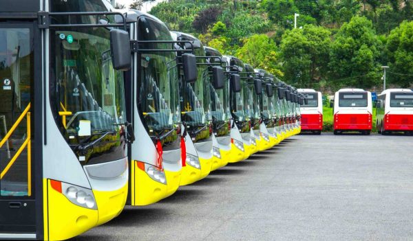 New electric buses parked in open-air parking lot