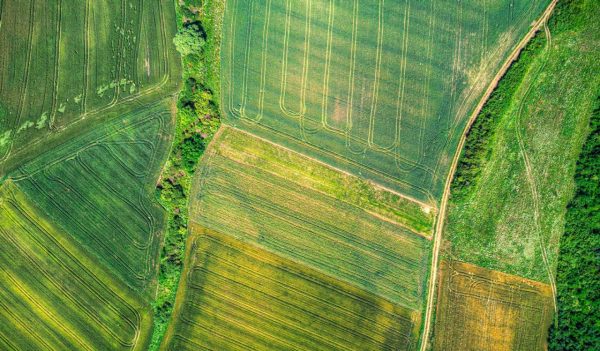 Drone's Eye View: A New Perspective on Agricultural Patterns